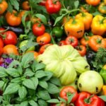 Como ser vegano passo a passo