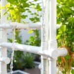 como fazer hidroponia em cano de pvc